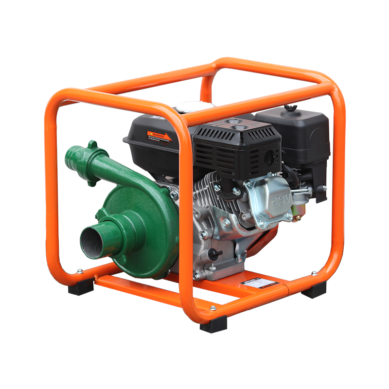 BSWP20I
