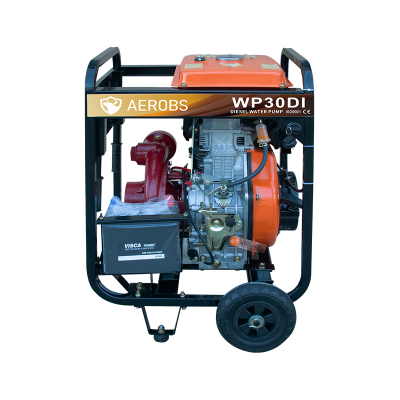 BSWP20DI/BSWP30DI/BSWP40DI